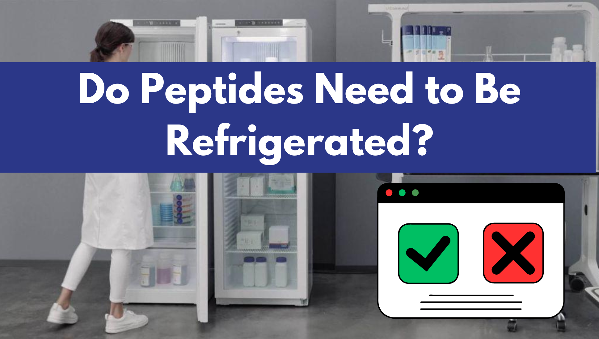 Peptide Storage in Refrigerators